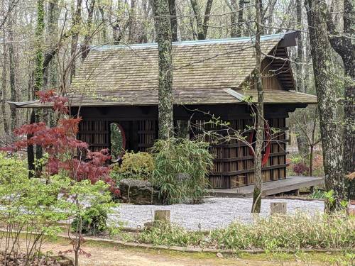 A small wooden library nestled among trees, surrounded by colorful plants and gravel pathways.