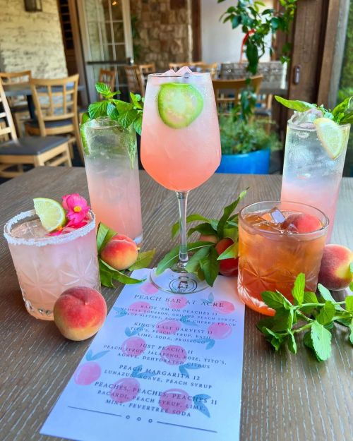 A vibrant display of peach-themed cocktails with fresh mint and peach slices, alongside a menu on a wooden table.