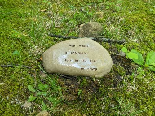 A smooth stone on grass with the poem "deep woods a caterpillar lets in the sun" by Yu Chang engraved on it.