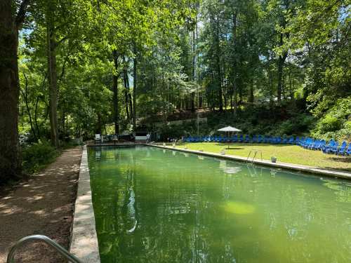 A serene outdoor pool surrounded by trees, with blue chairs and a shaded area in the background.