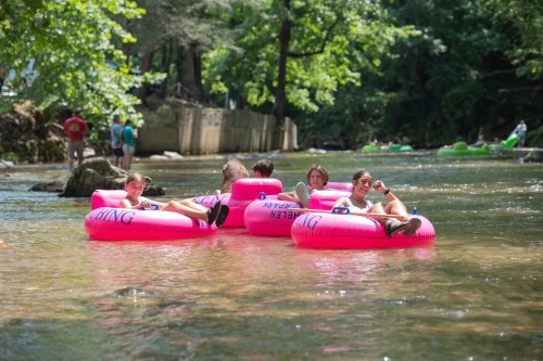 A group of people relax on pink inner tubes in a river surrounded by trees on a sunny day.
