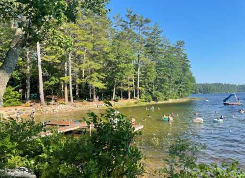 A sunny lakeside scene with people swimming and relaxing, surrounded by trees and a dock.