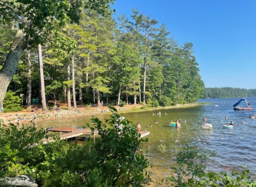 A sunny lakeside scene with people swimming and relaxing, surrounded by trees and a dock.