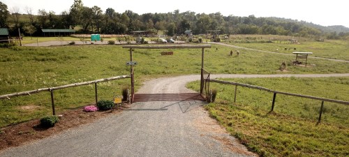 A gravel path leads through a wooden gate into a green field with distant buildings and animals grazing.