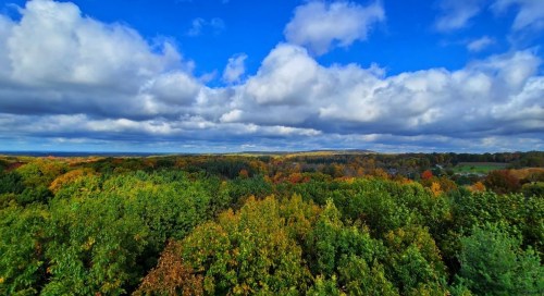 A vibrant landscape of green and autumn-colored trees under a blue sky with fluffy clouds.