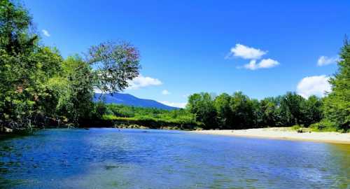 A serene river scene with clear blue water, lush green trees, and a bright blue sky with fluffy clouds.