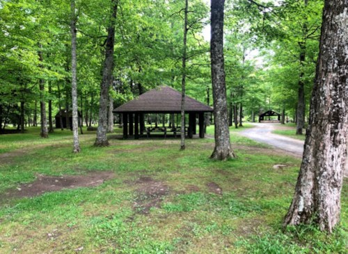 A peaceful park scene with green trees, grassy areas, and a pavilion surrounded by a gravel path.