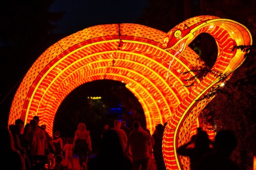 A large, illuminated snake sculpture arches over a path, with people walking underneath it at night.
