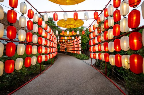 A pathway lined with red and white lanterns, creating a festive and inviting atmosphere.