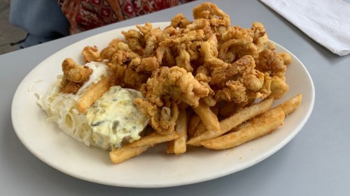 A plate of crispy fried food, including golden fries and a creamy dip, served on a white dish.