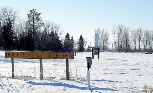 A sign for a Pollinator Garden in a snowy landscape, with bare trees and a clear blue sky in the background.