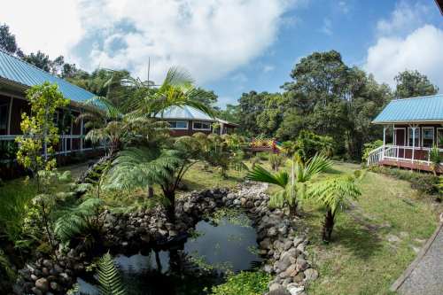 A lush garden with palm trees and a small pond, surrounded by colorful cottages under a blue sky.
