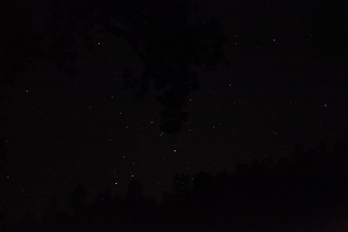 A dark night sky filled with stars, partially obscured by tree silhouettes at the top.