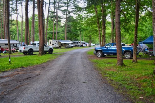 A gravel road lined with trees, leading to a campsite with parked vehicles and RVs in a lush green setting.