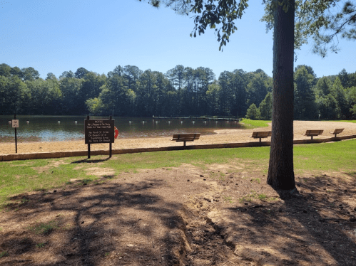 A serene lake surrounded by trees, with benches and a sandy beach area, under a clear blue sky.