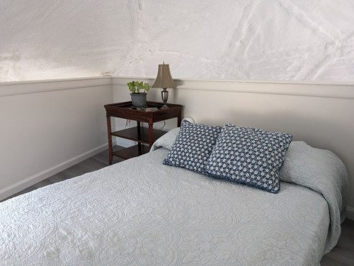 Cozy bedroom with a bed, two patterned pillows, a wooden nightstand, lamp, and a potted plant.