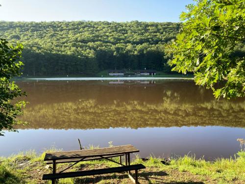 A serene lake surrounded by lush greenery, with a wooden bench in the foreground and reflections on the water.