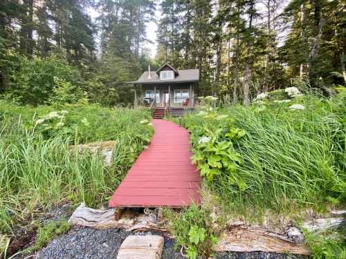 A red pathway leads to a cozy cabin surrounded by tall grass and trees in a lush forest setting.