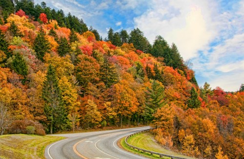 A winding road surrounded by vibrant autumn foliage in shades of orange, red, and yellow under a blue sky.