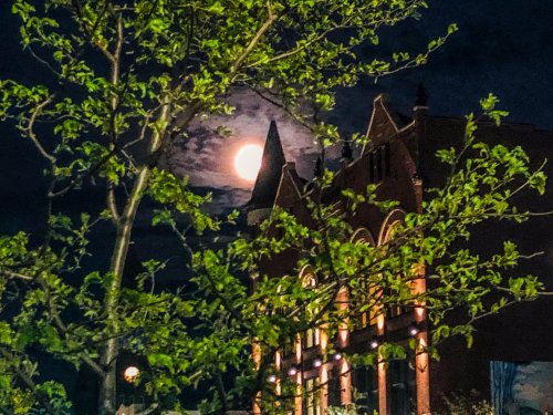 A full moon shines brightly behind a historic building, framed by green leaves, against a night sky.