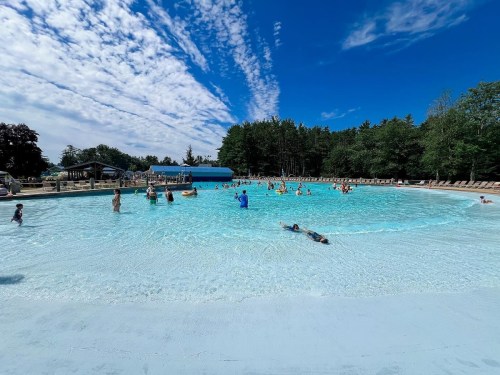 A sunny outdoor pool scene with people swimming and relaxing, surrounded by trees and a blue sky with clouds.