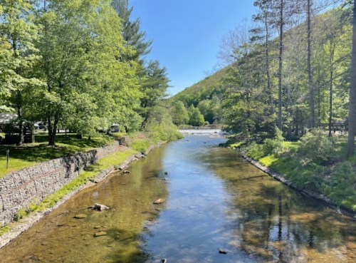 A serene river flows through a lush green landscape, surrounded by trees and a clear blue sky.