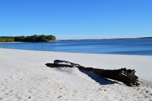 A serene beach scene with a sandy shore, calm water, and a large driftwood log under a clear blue sky.