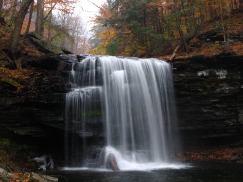 A serene waterfall cascades over dark rocks, surrounded by autumn foliage in a tranquil forest setting.