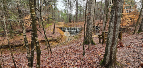 A serene forest scene with a small waterfall, surrounded by trees and fallen leaves, featuring a bench nearby.