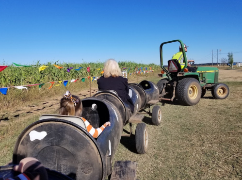 A child and an adult ride a tractor-pulled train made of barrels through a field with colorful flags.