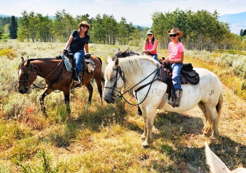 Three women on horseback in a scenic, grassy area with trees in the background, enjoying a sunny day outdoors.