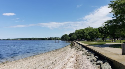 A serene waterfront scene with a sandy shore, trees, and a clear blue sky, featuring a walking path along the water.