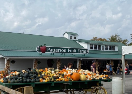 A farm stand at Patterson Fruit Farm displays a variety of pumpkins and gourds, with visitors browsing nearby.