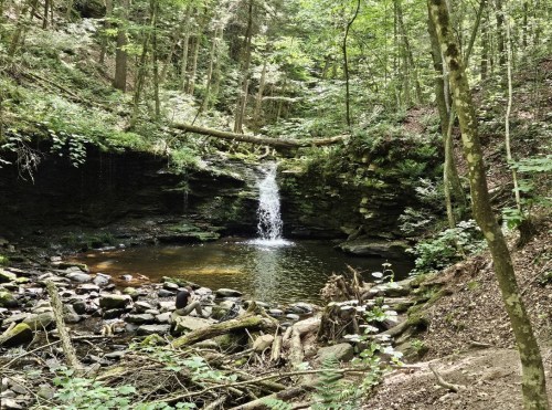 A serene forest scene featuring a small waterfall cascading into a tranquil pool surrounded by lush greenery and rocks.