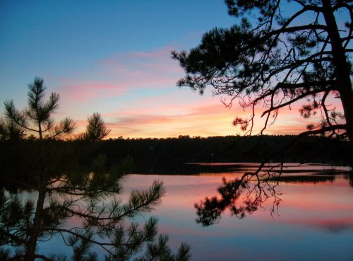 A serene lake at sunset, reflecting vibrant pink and orange hues, framed by silhouetted trees.
