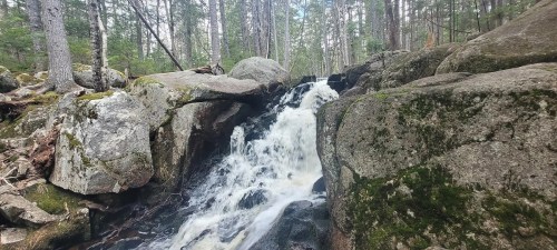 A small waterfall cascades over rocky terrain, surrounded by lush green trees in a serene forest setting.