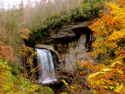 A serene waterfall cascades down rocky cliffs, surrounded by vibrant autumn foliage in a tranquil forest setting.