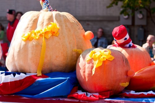 Three large pumpkins decorated with yellow ribbons, resting on a red, white, and blue tablecloth at a festive event.