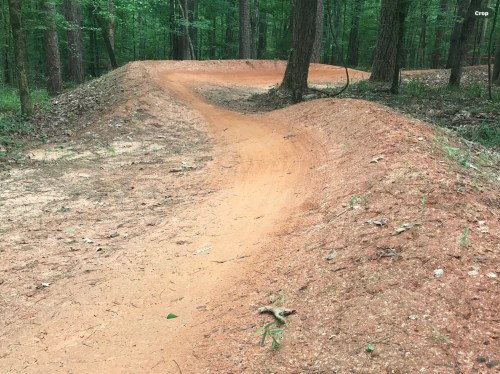 A winding dirt path through a lush green forest, featuring a raised, curved section of trail.