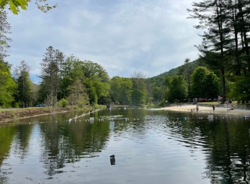 A serene lake surrounded by lush greenery and trees, with a sandy beach and people enjoying the outdoors.