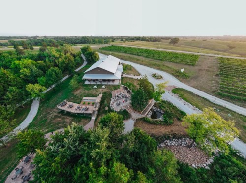 Aerial view of a vineyard with a modern building, surrounded by greenery and winding paths.