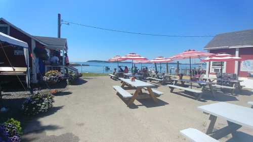 A sunny seaside café with picnic tables, red and white umbrellas, and a view of the water and boats in the distance.