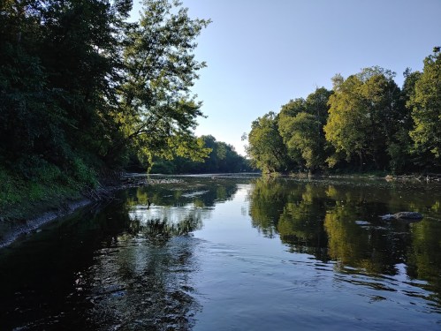 A serene river scene with trees lining the banks, reflecting in the calm water under a clear blue sky.