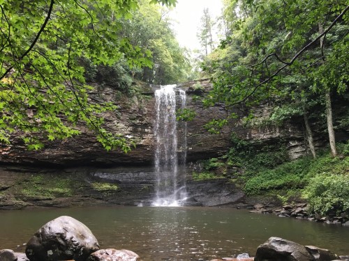 A serene waterfall cascading over rocks into a calm pool, surrounded by lush green trees and foliage.