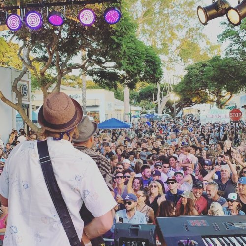 A lively outdoor concert scene with a large crowd enjoying the performance under trees and colorful stage lights.