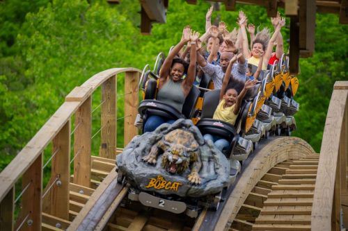 A group of excited riders with hands raised on a wooden roller coaster called "The Bobcat." Green trees in the background.
