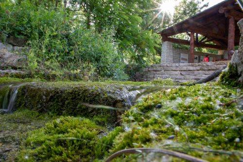 A serene landscape featuring a moss-covered rock, a gentle stream, and a rustic wooden structure in a lush green setting.