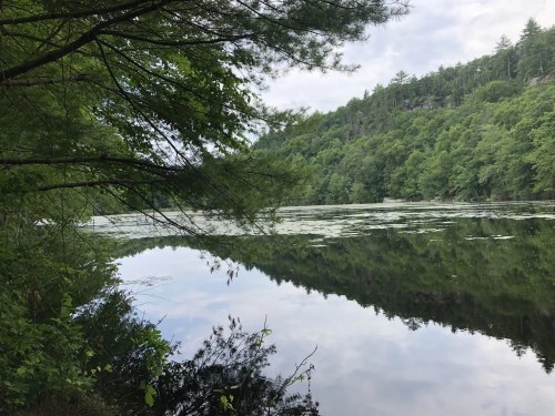 A serene lake surrounded by lush green trees, reflecting the landscape on a calm day.