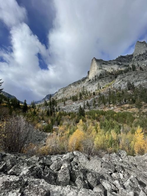 A rocky landscape with towering mountains, scattered trees, and a cloudy sky, showcasing autumn colors in the foreground.