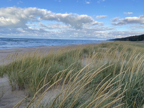 A serene beach scene with tall grass swaying in the wind, waves gently lapping at the shore under a cloudy sky.